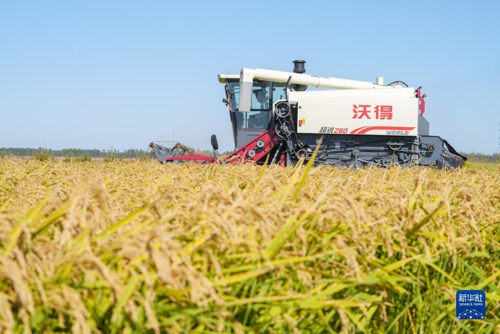 连环夺宝免费